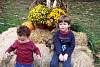 100_1478.jpg
